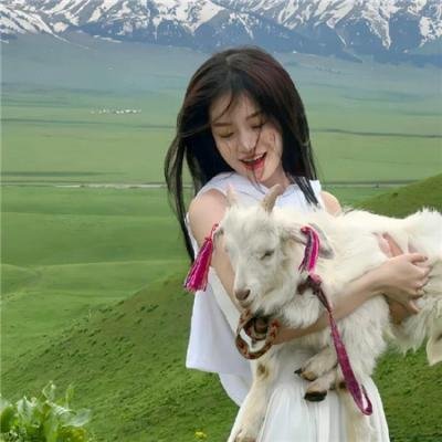 不是钱的事2015